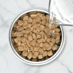 catit freeze dried