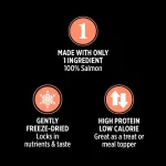 Freeze-Dried Salmon Cat Treats 25g - Image 3