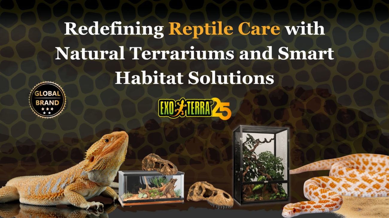 reptile care