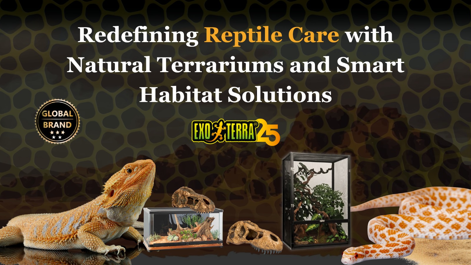 reptile care