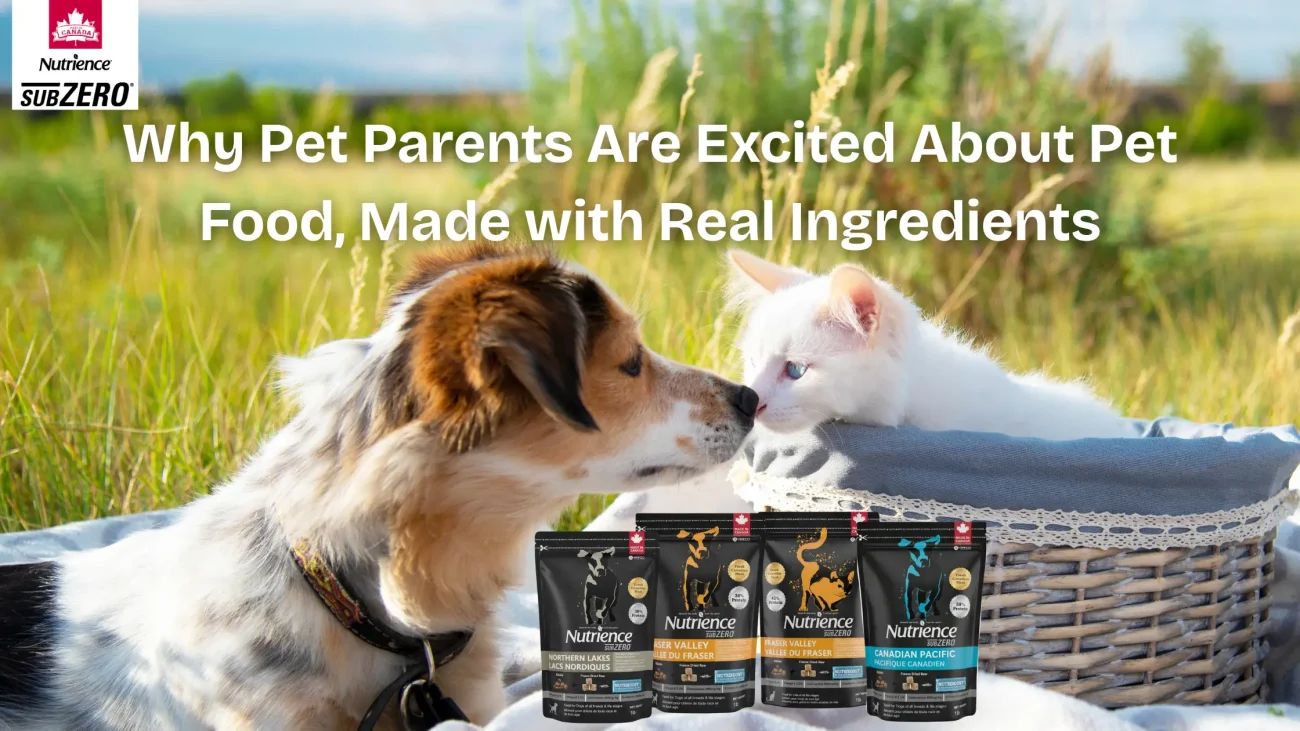 Why Pet Parents Are Excited About Cat & Dog Food: Made with Real Ingredients, Fresh Meat & Balanced Nutrition