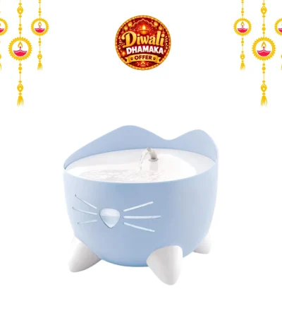 cat drinking fountain