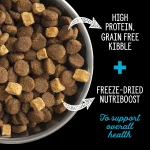 Nutrience Grain Free Subzero – Best Dog Food (Canadian Pacific, 1lb) - Image 2