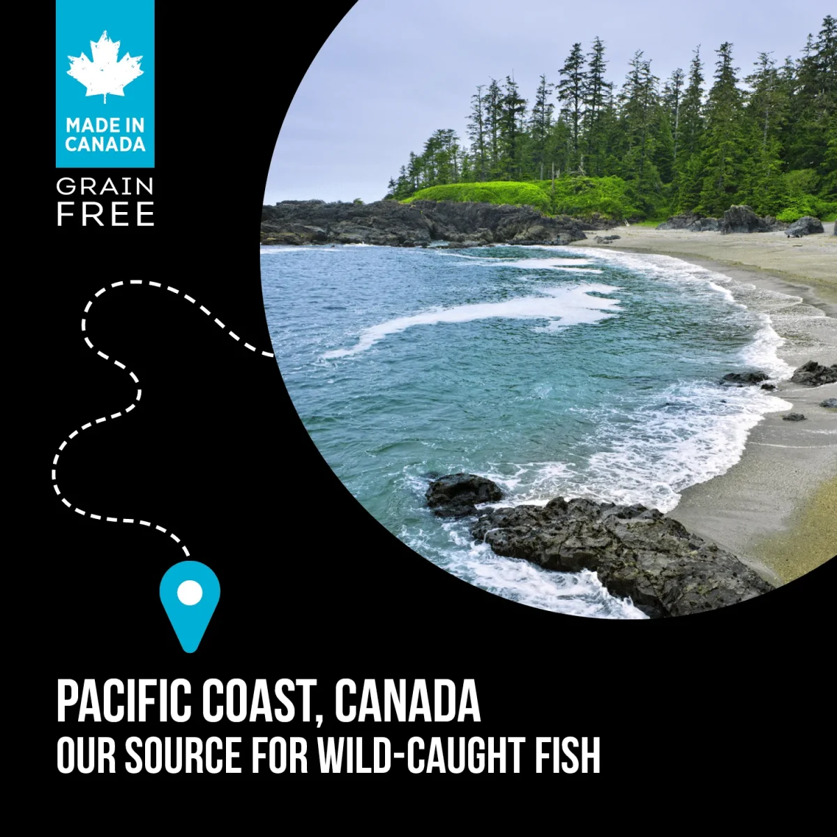 Nutrience Grain Free Subzero – Best Dog Food (Canadian Pacific, 1lb) - Image 4