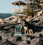 Nutrience Grain Free Subzero – Best Dog Food (Canadian Pacific, 1lb) - Image 10