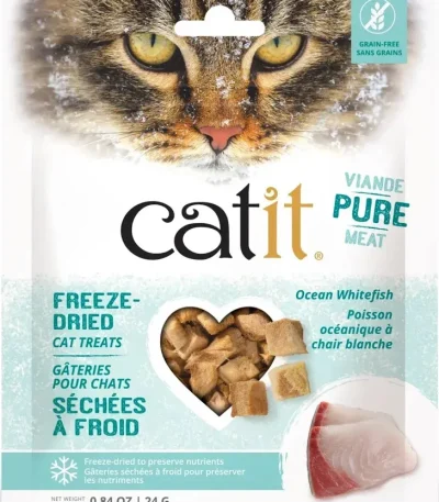 cat dry food