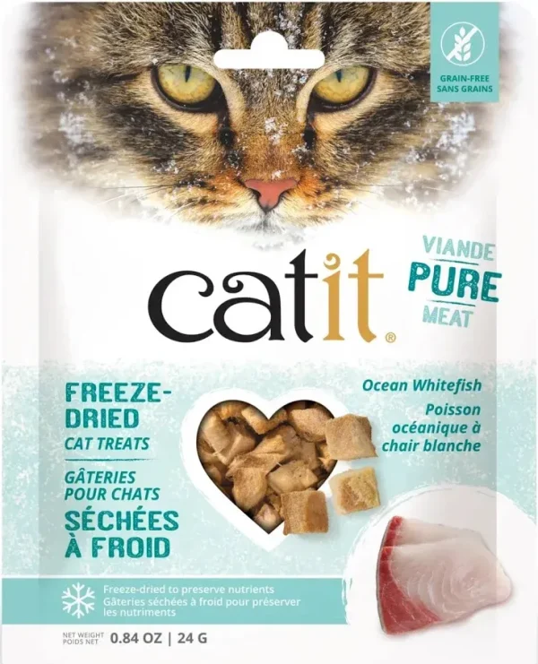 cat dry food