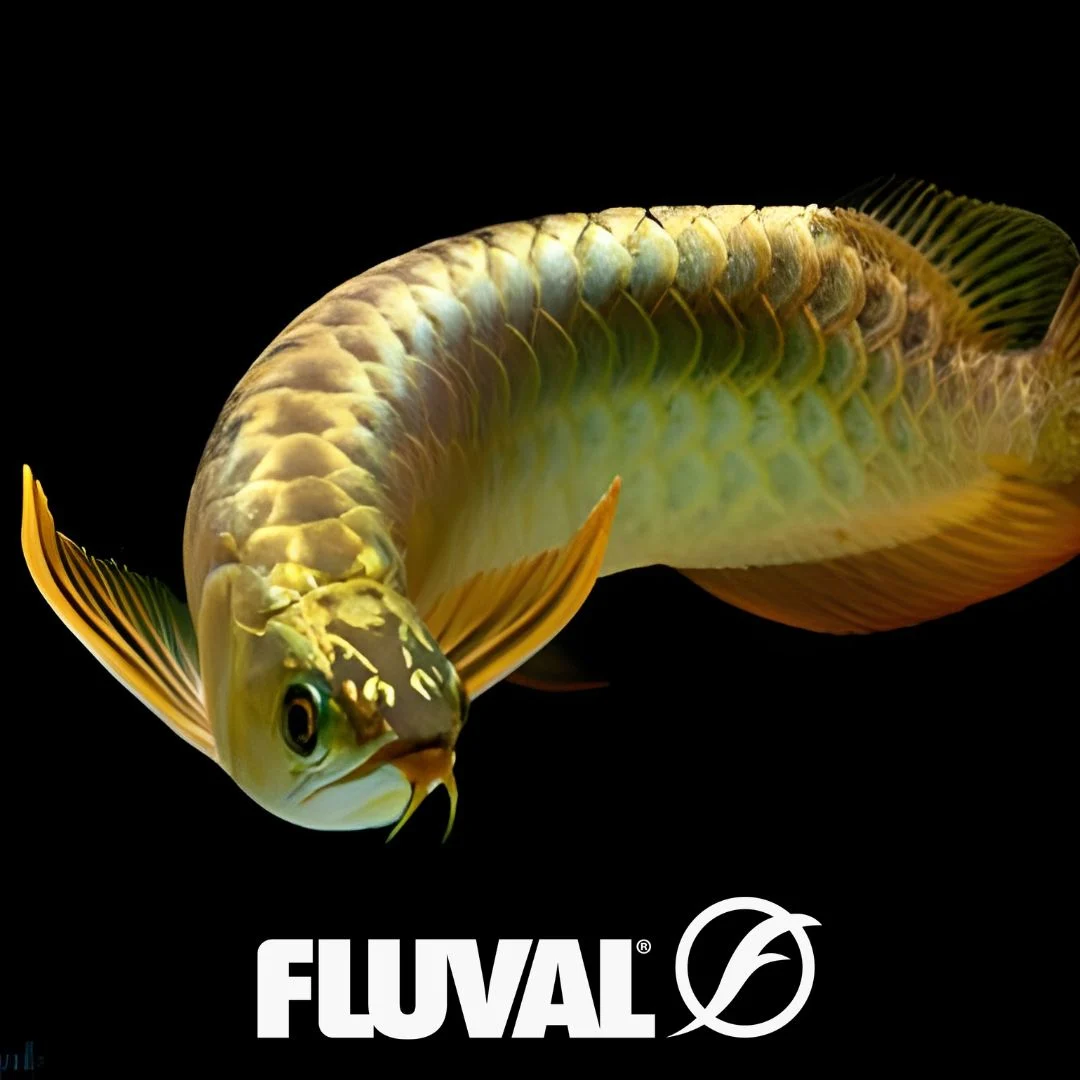 Fluval aquarium products