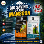 Combo Offer – Hari Small Parrot + Tropican Lifetime Stick 4mm