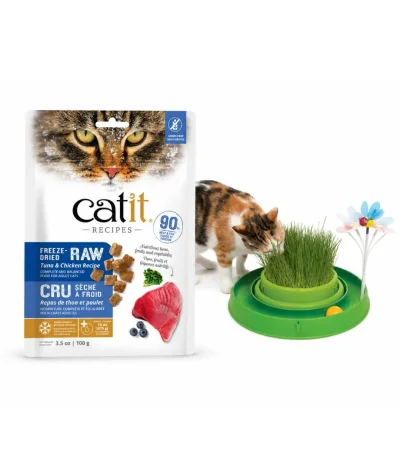 Cat Store
