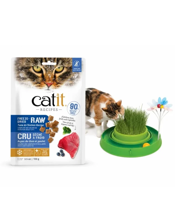 Cat Store