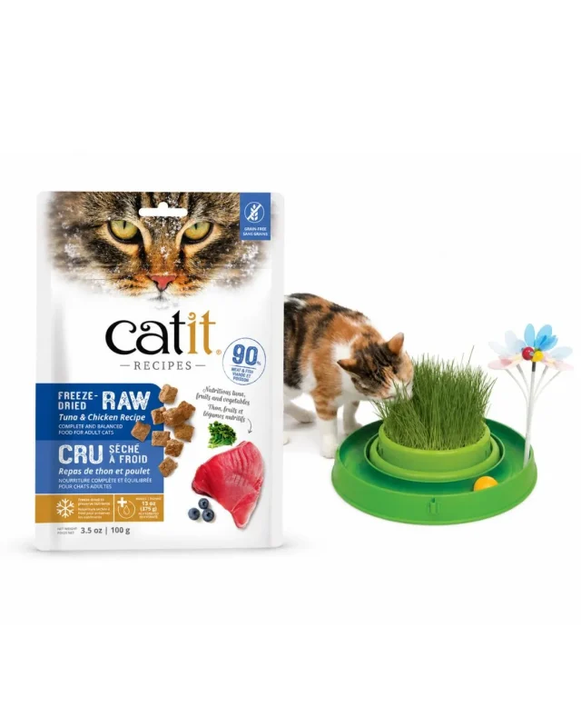 Cat Store