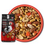 Combo offer - large parrot + high performance stick 4mm - Image 2