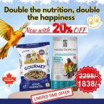 Hari Gourmet + Lifetime Formula Combo Offer – Get 20% OFF