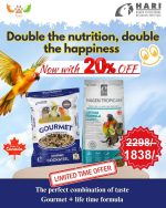 Hari Gourmet + Lifetime Formula Combo Offer – Get 20% OFF