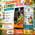 Combo Offer – Hari Small Parrot + Tropican Lifetime Stick 4mm