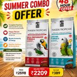 Combo offer - large parrot + high performance stick 4mm