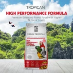 Combo offer - large parrot + high performance stick 4mm - Image 7