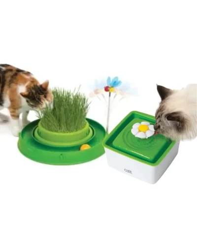 Cat water fountain