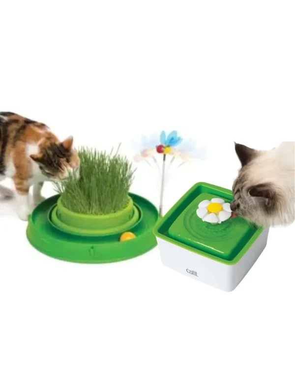 Cat water fountain