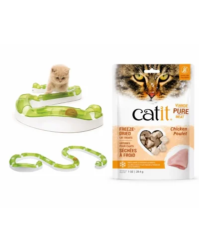 Interactive cat toys