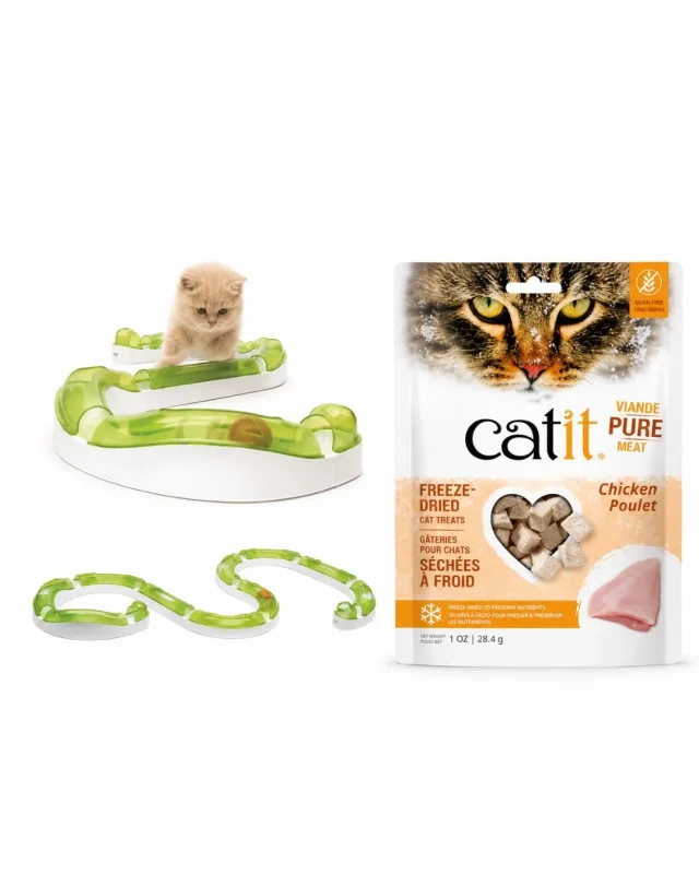 Interactive cat toys