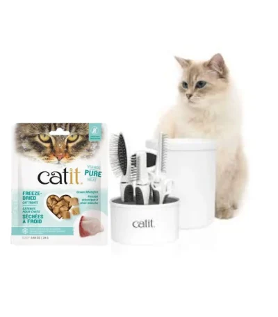 Cat grooming tools