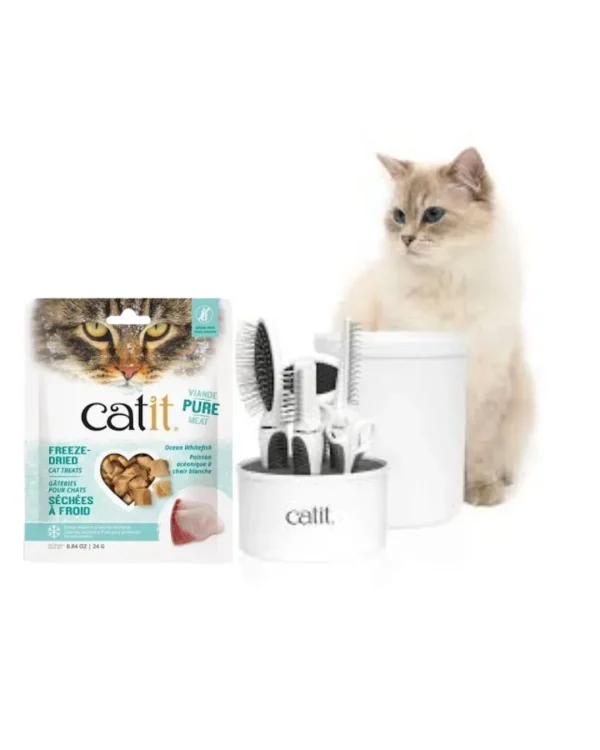 Cat grooming tools