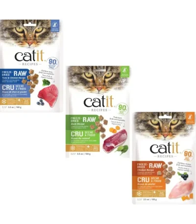 Raw food for cats