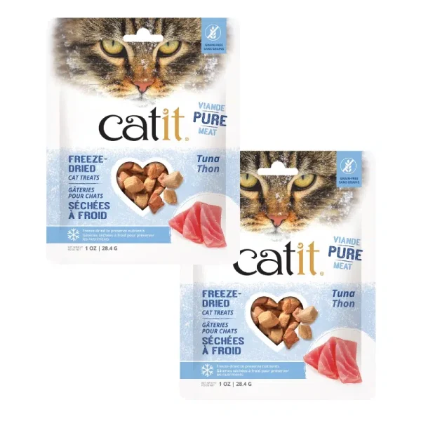 Healthy cat snacks