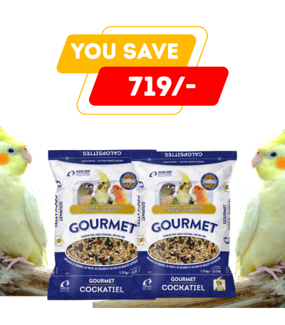 Gourmet Cockatiel Seed Mix Combo