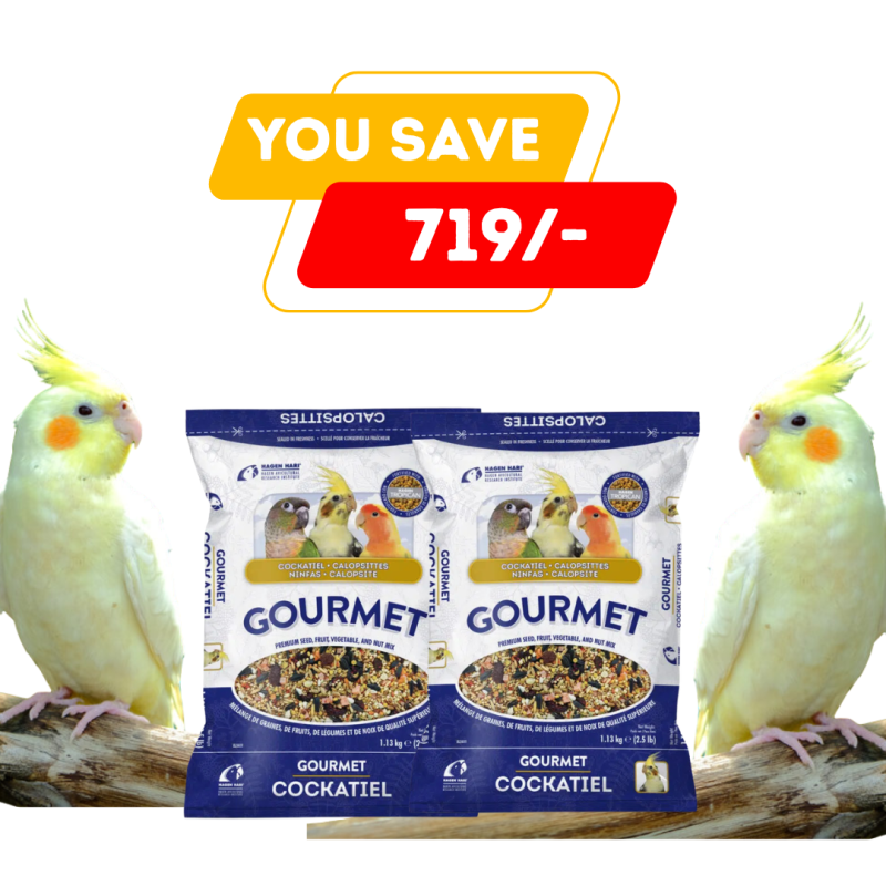 Gourmet Cockatiel Seed Mix Combo