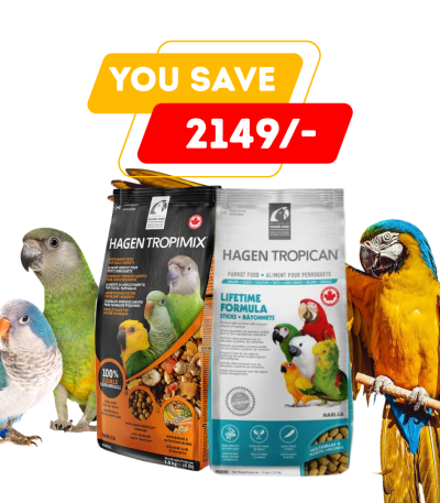 Parrot Food Combo