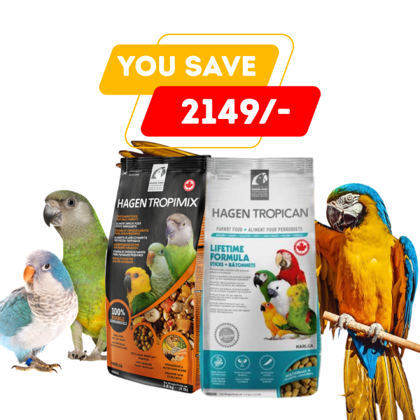 Parrot Food Combo