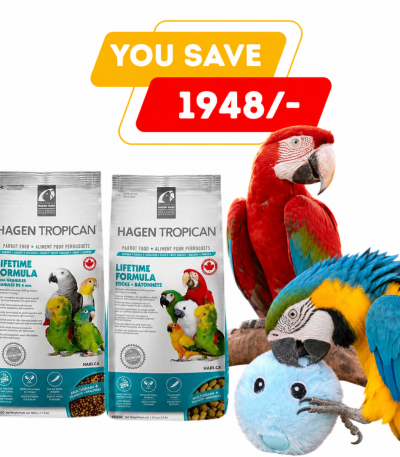 Parrot Food Combo