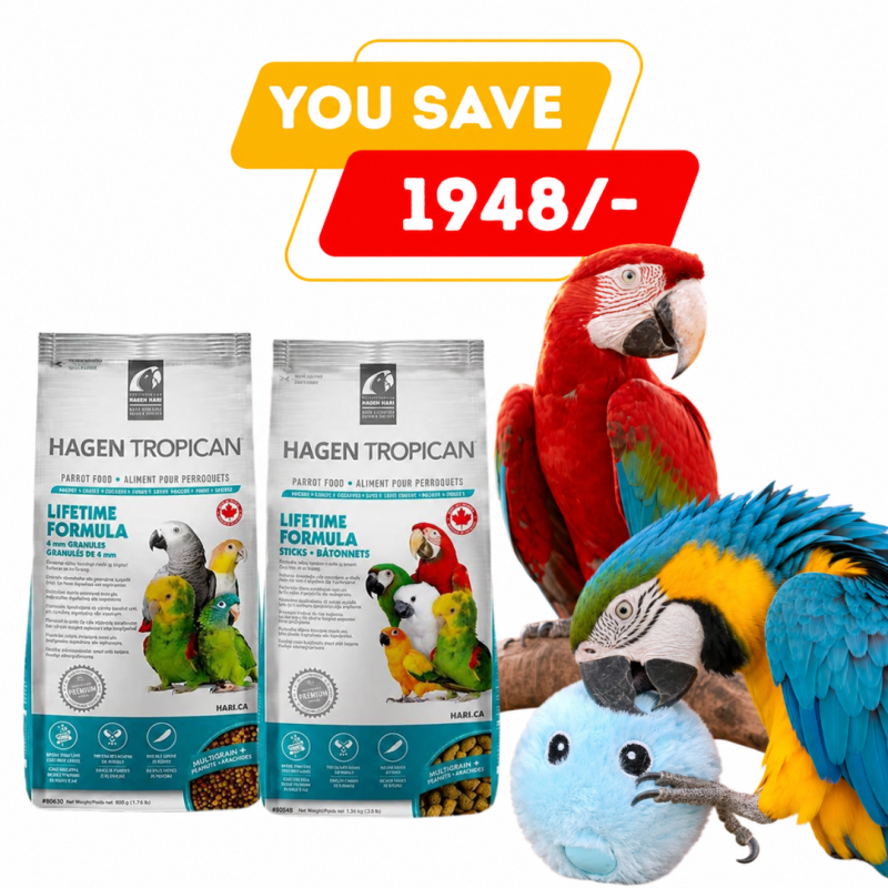 Parrot Food Combo