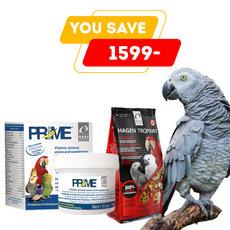 Parrot Food Combo