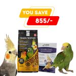 Cockatiel Diet Combo: Tropimix & HARI Charcoal – Offer with heavy discounted price