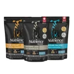 high-protein dog food