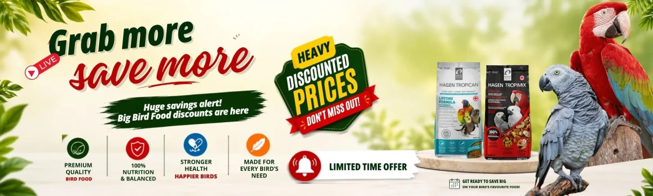 Premium quality bird food