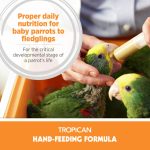 Hand-Feeding Formula for Baby Birds, Mash - Image 3