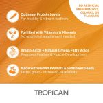 Hand-Feeding Formula for Baby Birds, Mash - Image 4