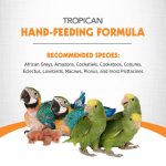Hand-Feeding Formula for Baby Birds, Mash - Image 2